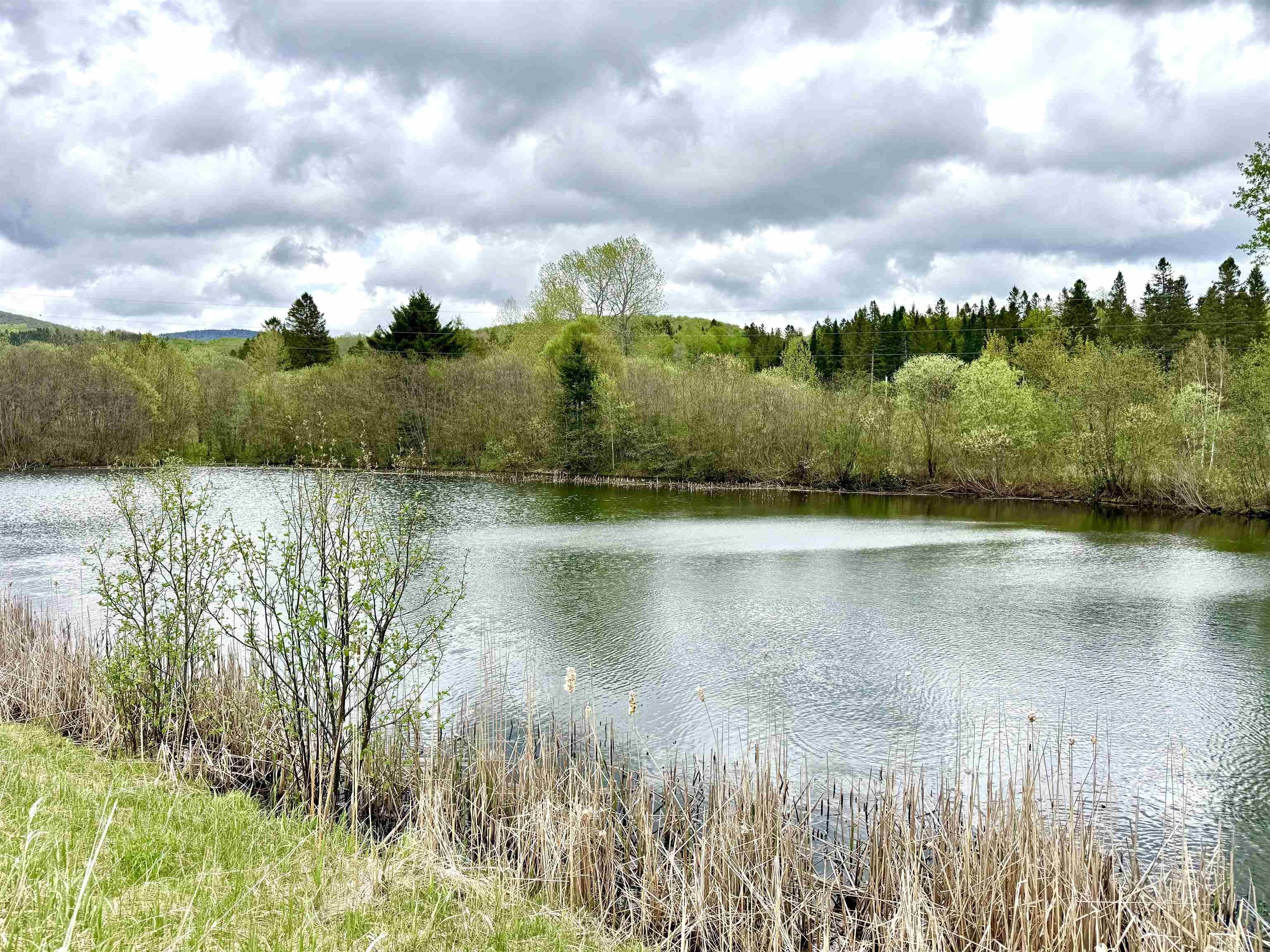Land with Two Ponds