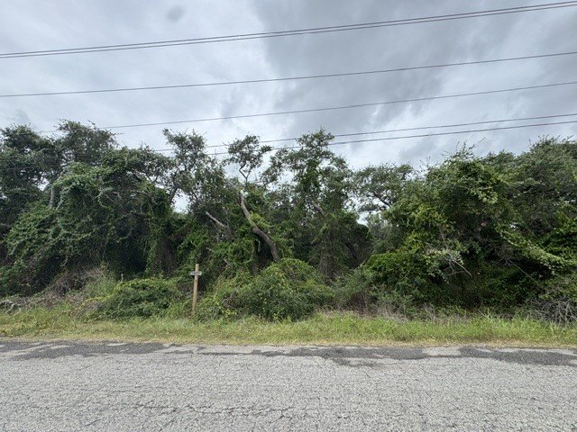 Picture 2