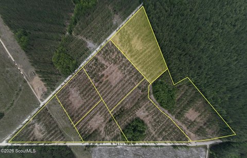 Acreage Homesite with Cleared Pad