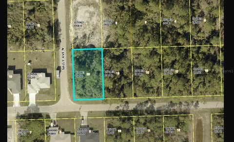 Land, LEHIGH ACRES, FL