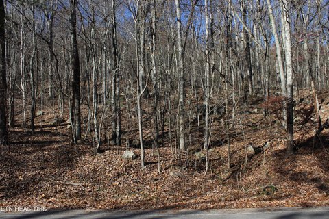 Harriman, TN Building Lot