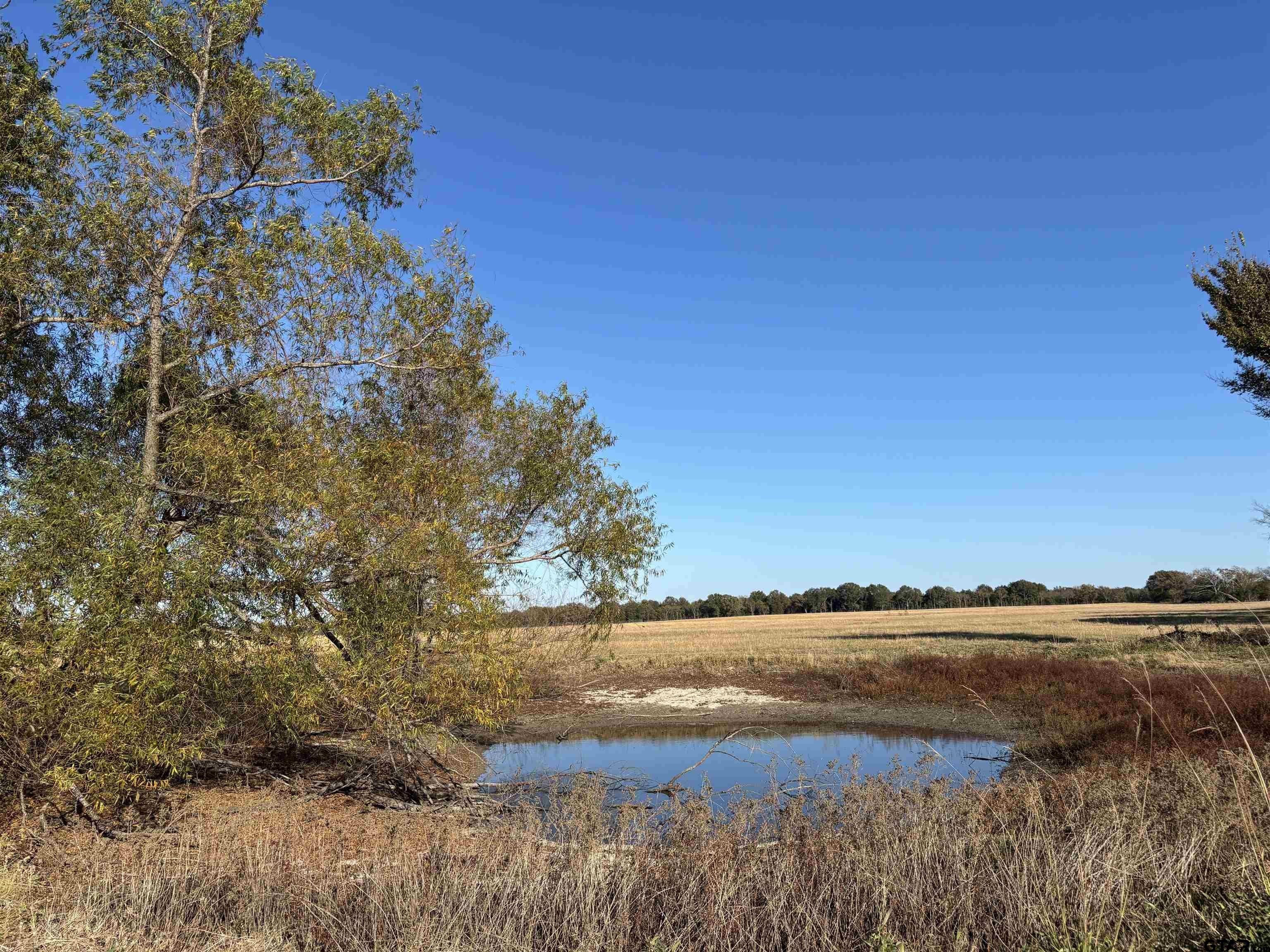 Rural Acreage in Ben Wheeler, TX
