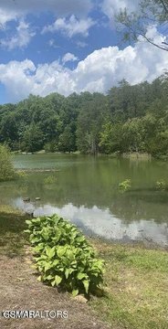 Lakefront Land on Douglas Lake