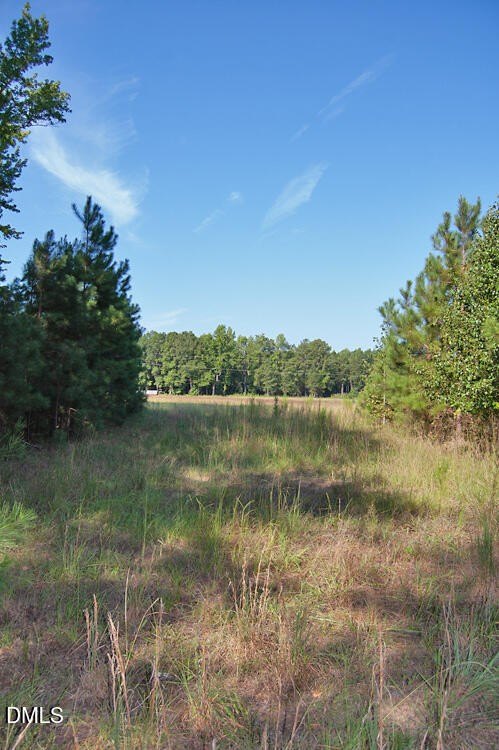 Picture 7
