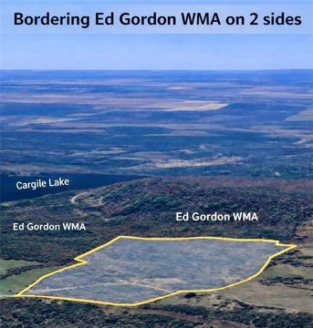 Hattieville Land Bordering Wildlife Area