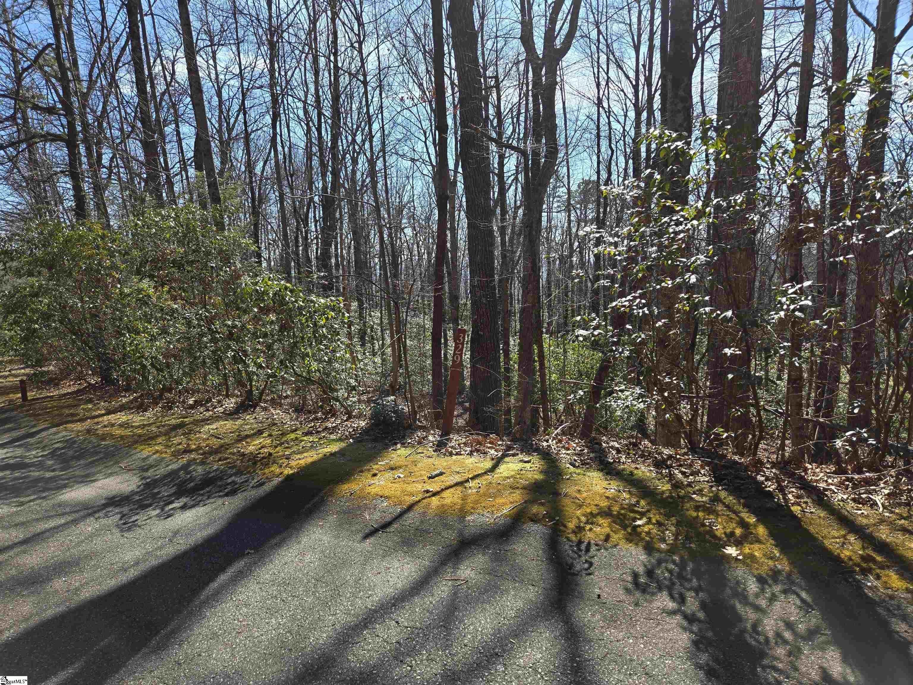 Residential Land in Cliff Ridge