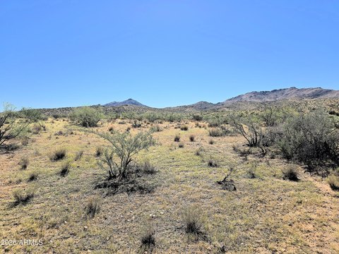 Land, Congress, AZ