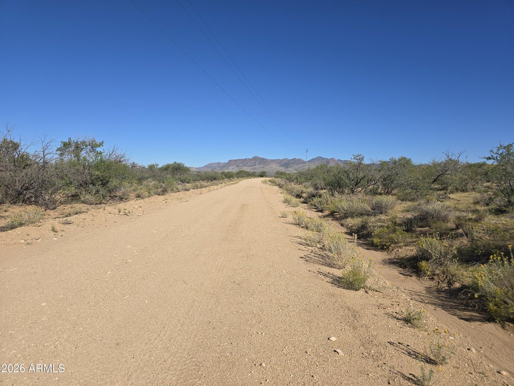 Picture 5