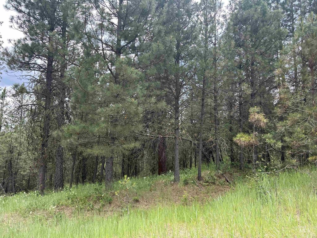 Picture 23