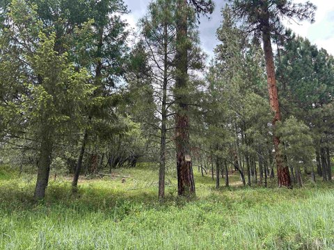 Garden Valley Acreage with Septic