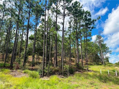 Estate Lots in Timber Ridge