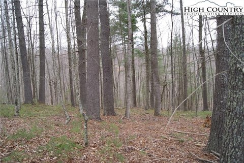 Mountain Wooded Lot in Sparta