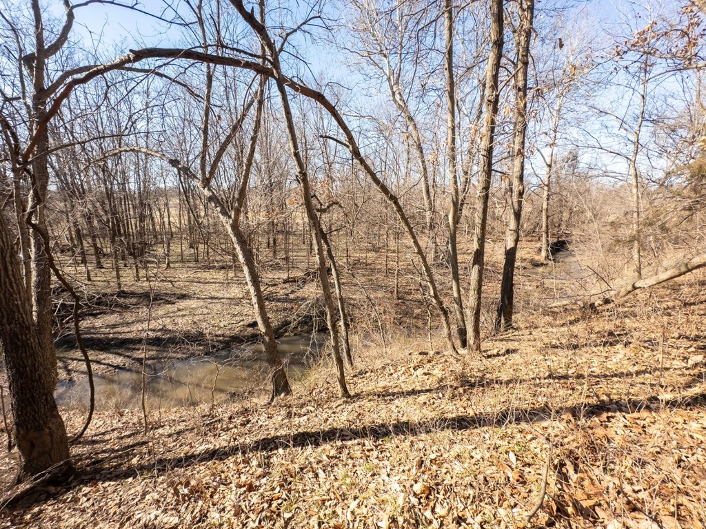 Picture 59