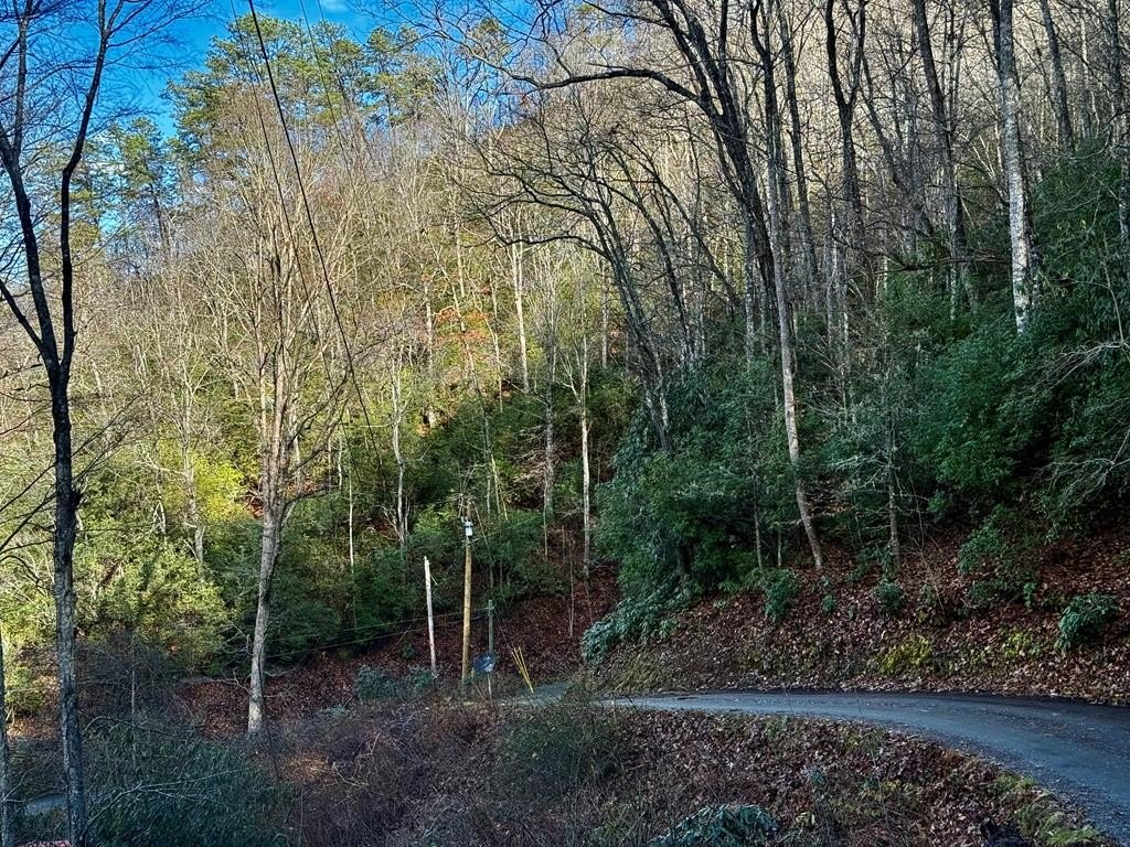 Unrestricted Mountain Land in Sylva, NC