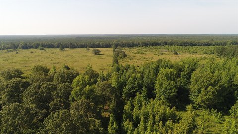 Rural Timberland with Road Access