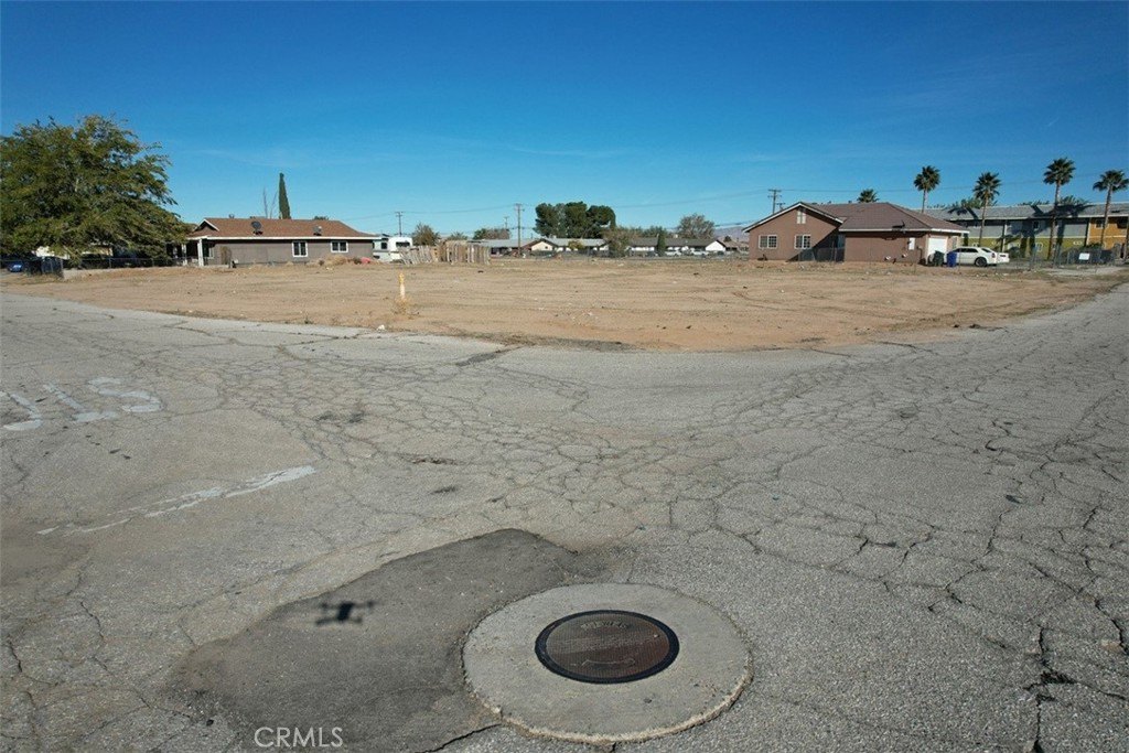 Picture 6
