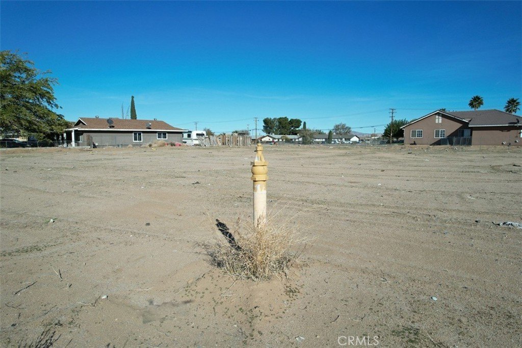 Picture 8