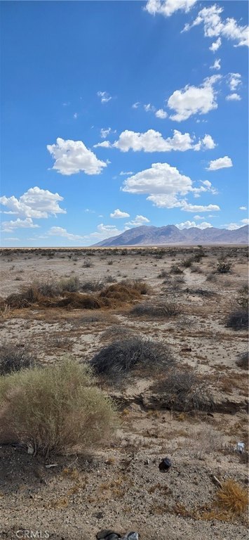 Picture 7