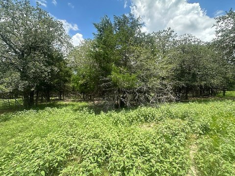 Unrestricted Acreage with Private Lane