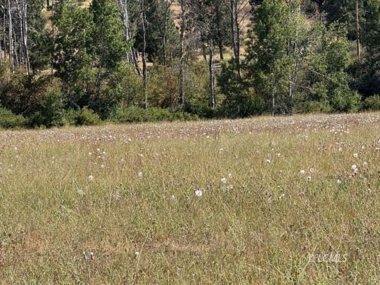 Chiloquin Land with Mountain Views