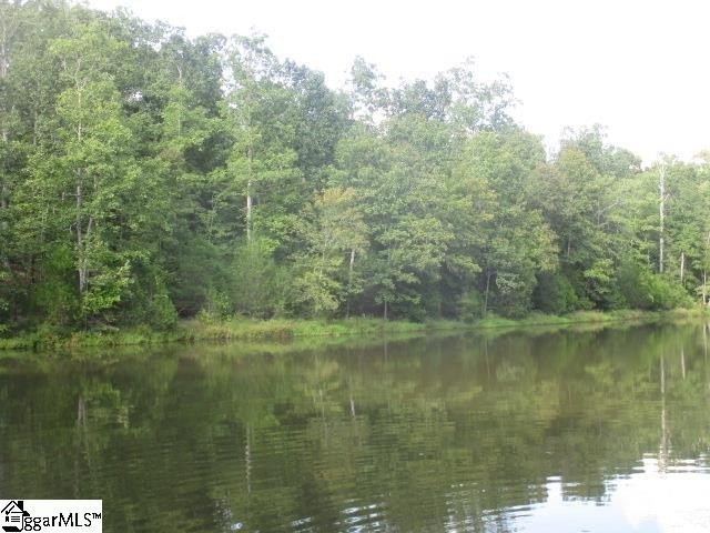 Picture 24