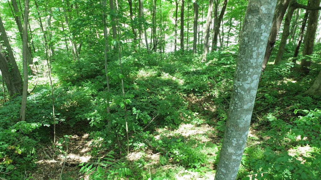 Picture 15