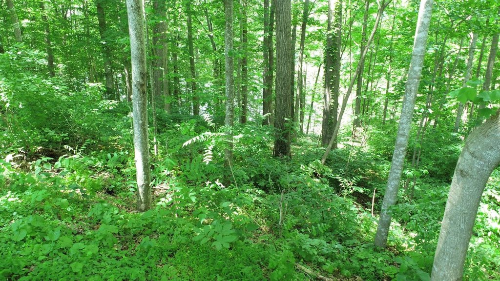 Picture 14