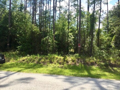 Spacious Land in Dunnellon, FL