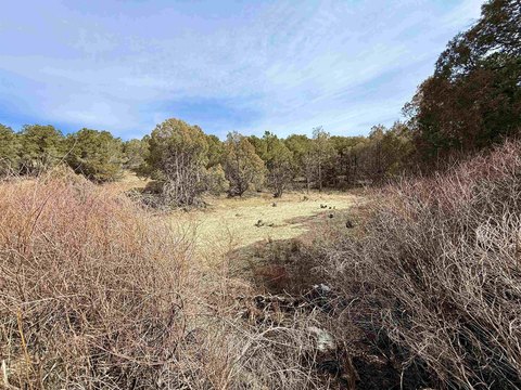 Land Near Los Pinos Park