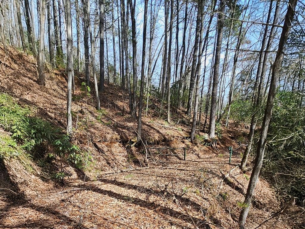 Land with Creek and Forest Access