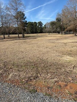 Toledo Bend Lake Interior Lot