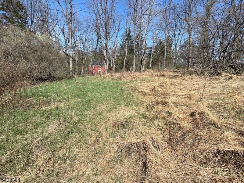 Picture 11