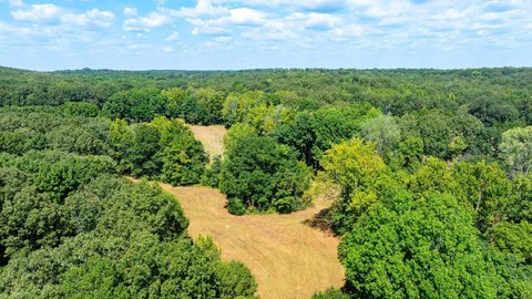 Agricultural Land with Timber