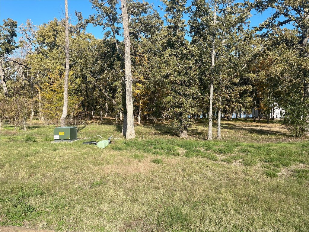 Picture 6
