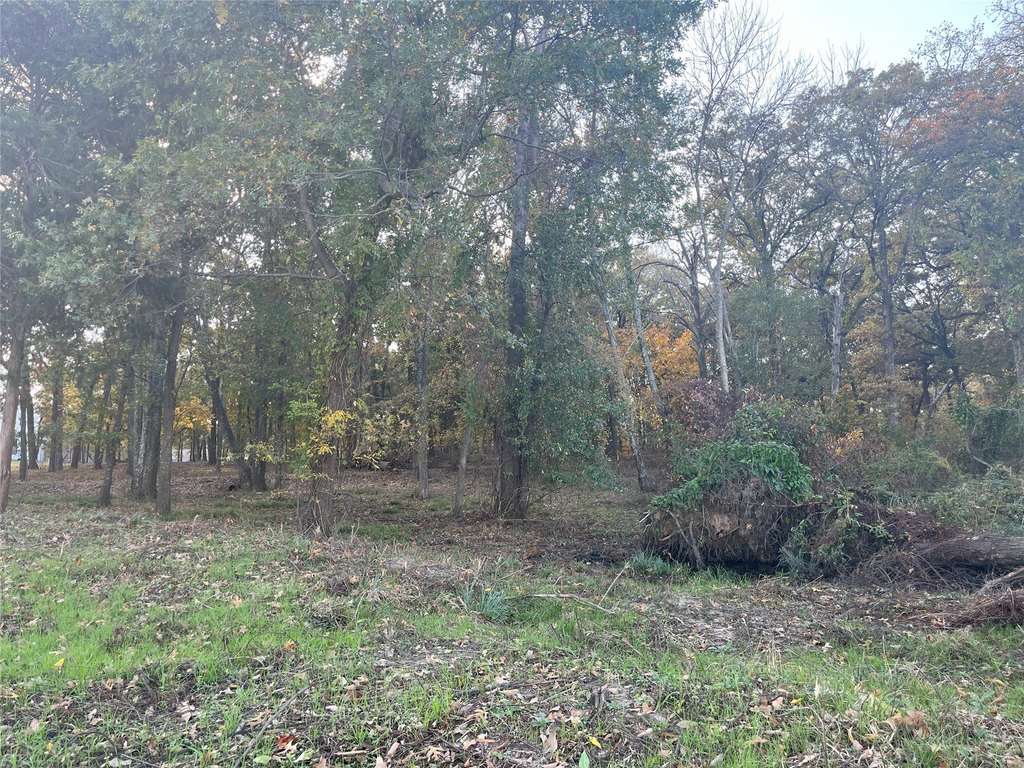 Picture 14