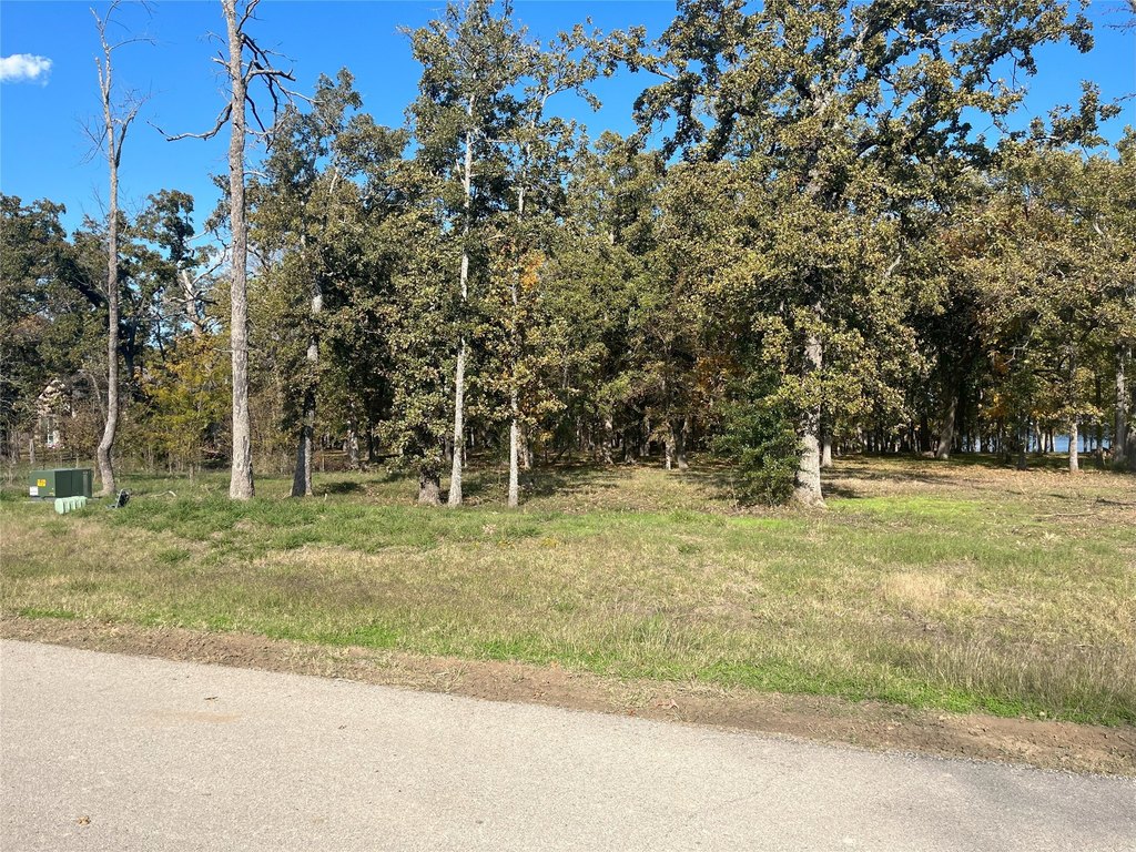 Picture 3