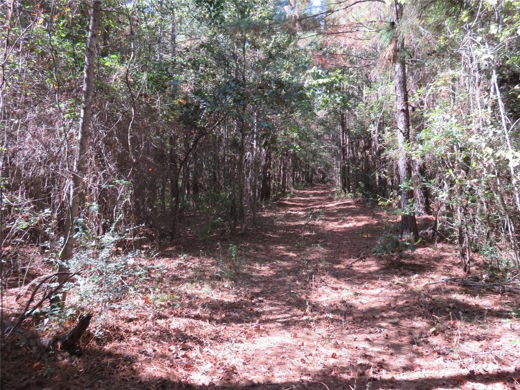 Picture 13