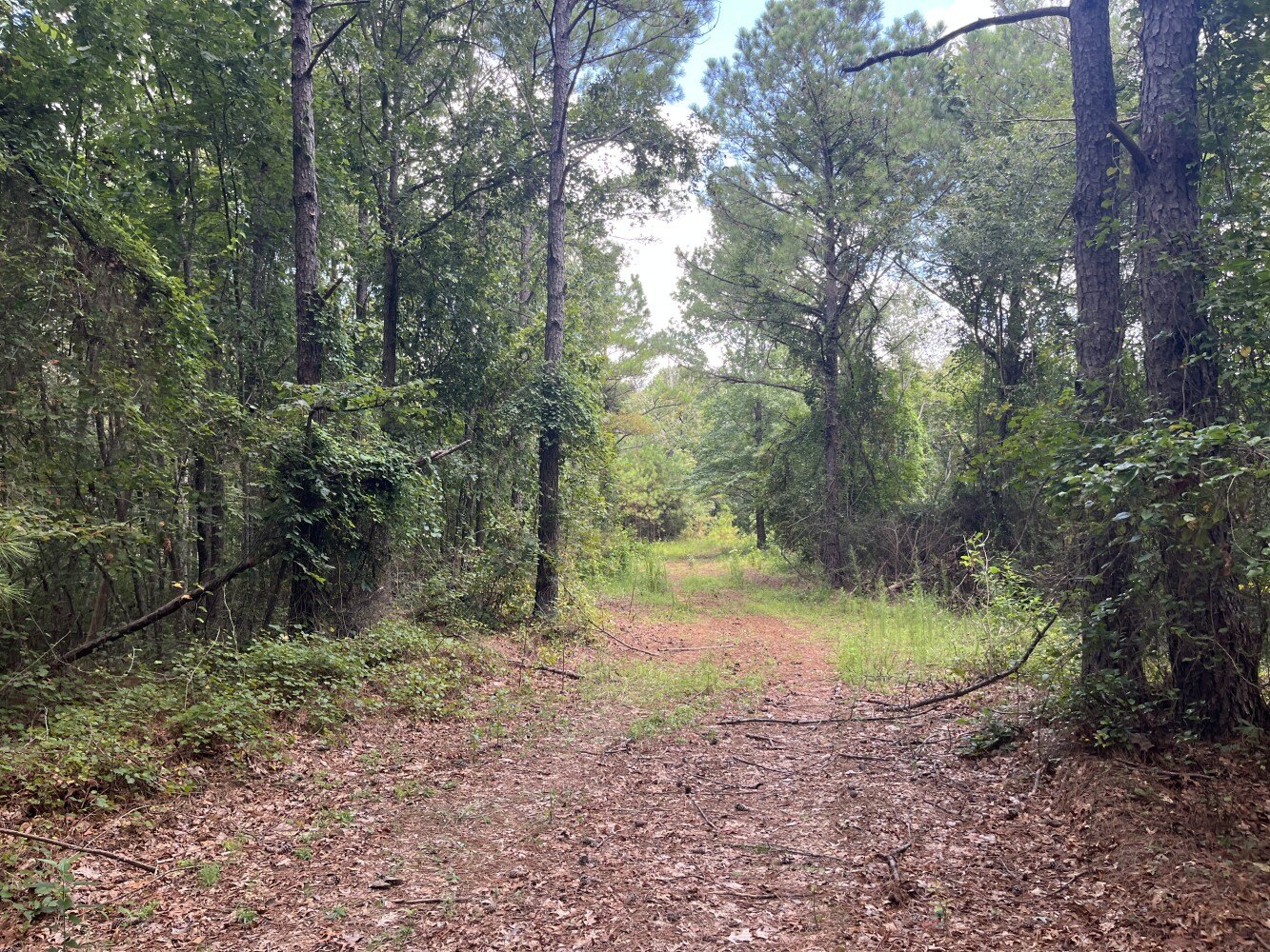 74 Acres of Vacant Land