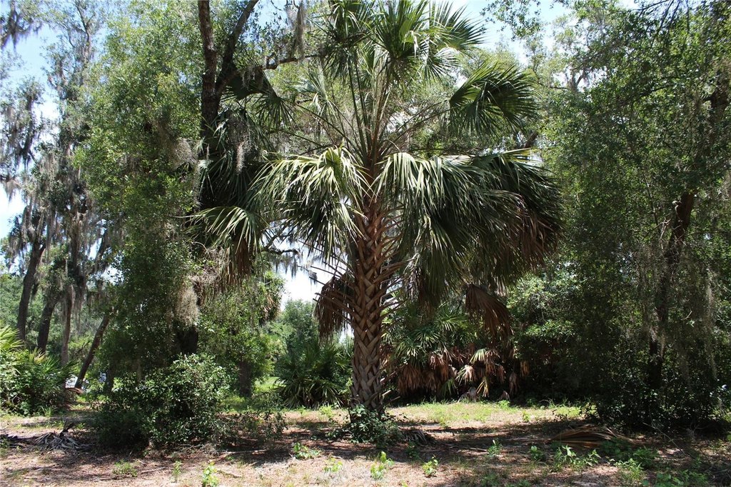 Picture 16