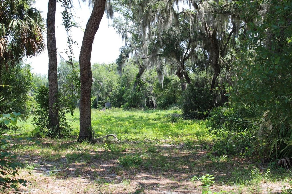 Picture 11