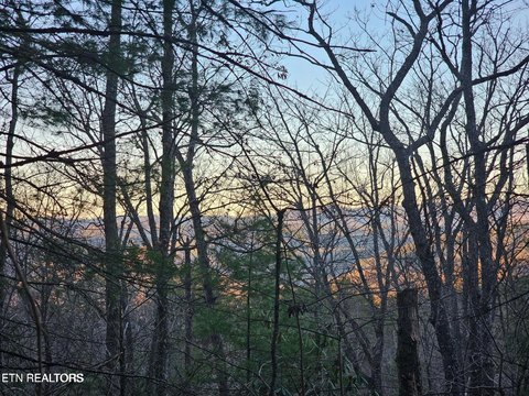 Lots & Acreage, Townsend, TN