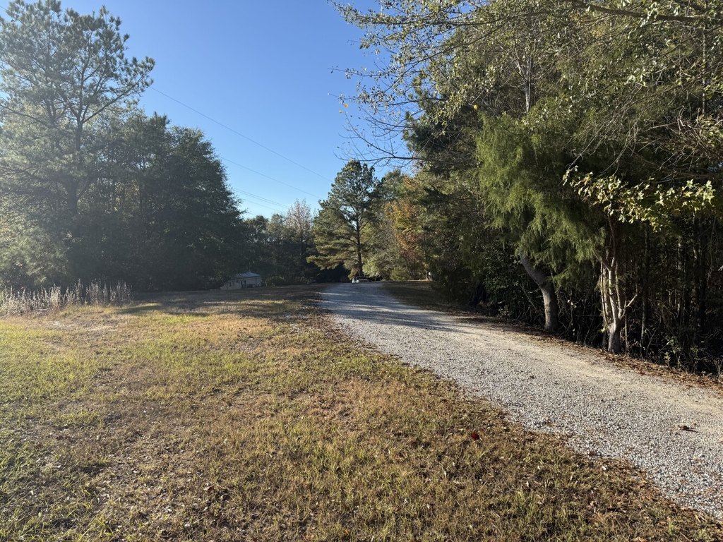 Picture 19