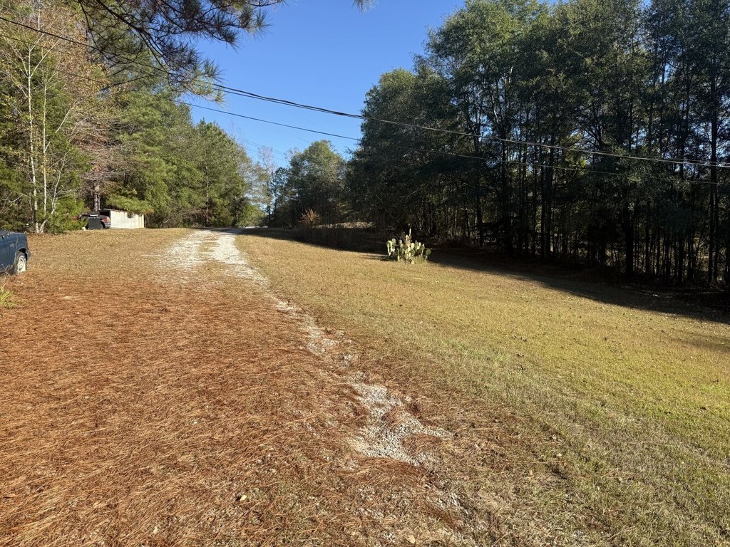 Picture 18