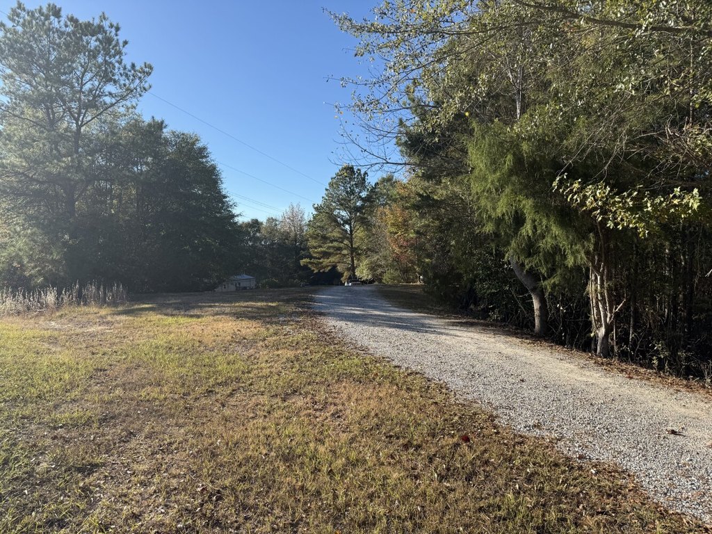 Picture 20