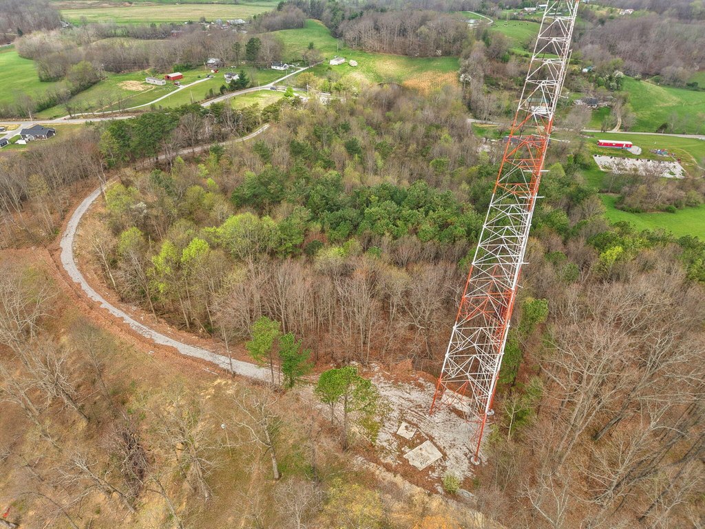 Picture 17