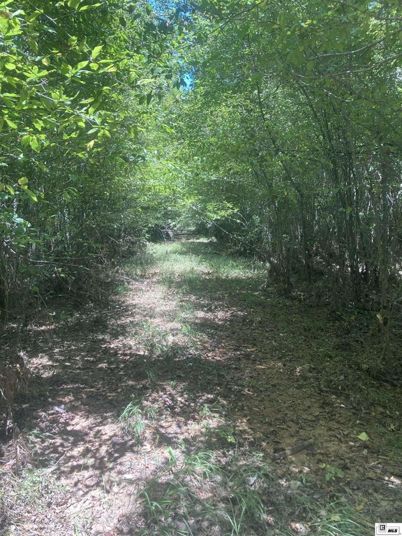 Picture 10