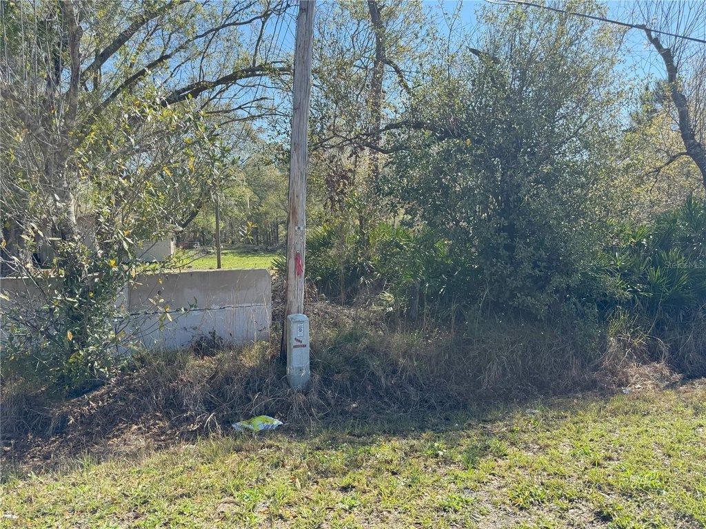 Picture 20