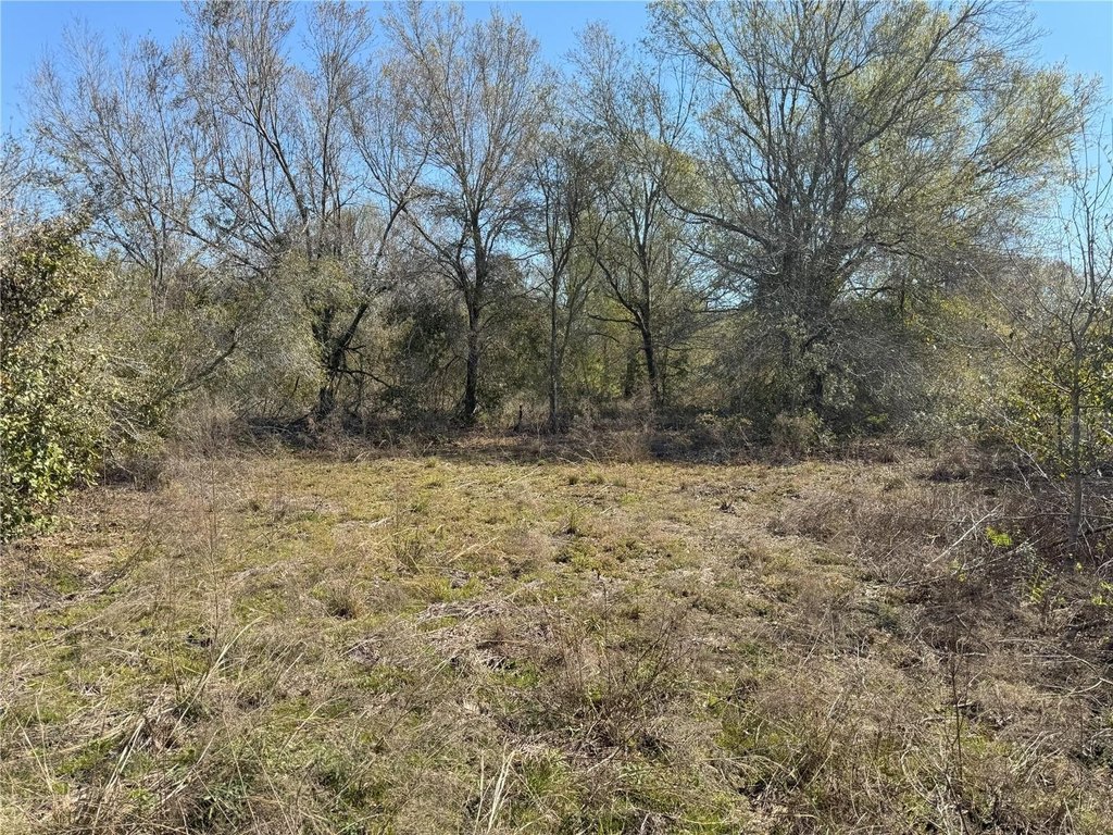 Picture 15