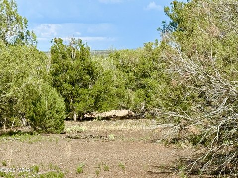 Land, Show Low, AZ