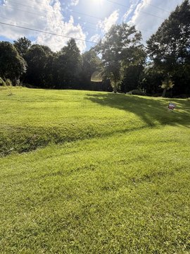22 Acres in Waverly Hall
